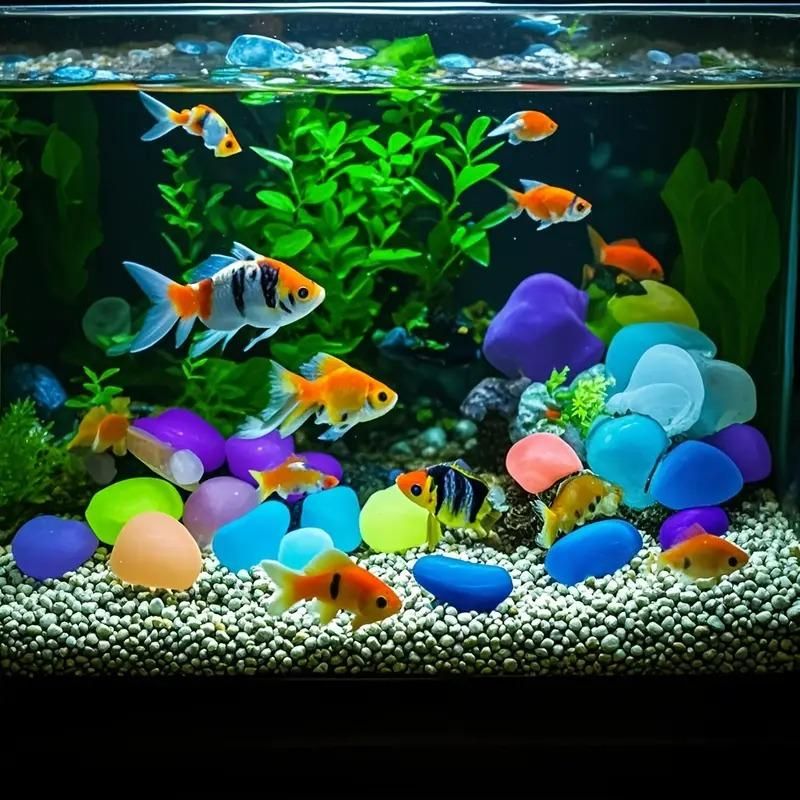 Editorial product visual